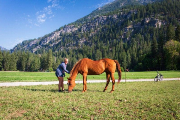 Therapy at Hughs Healing Counseling: A Path to Personal Growth and Wellness